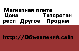 Магнитная плита 125*400 › Цена ­ 20 000 - Татарстан респ. Другое » Продам   